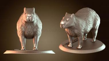 3D модель Капибара (STL)