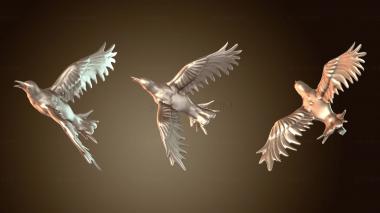 3D мадэль Карлос Сильва Итачи Кроу (STL)