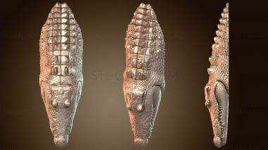 3D модель Крокодил (STL)