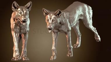 3D мадэль Прогулка с динго (STL)