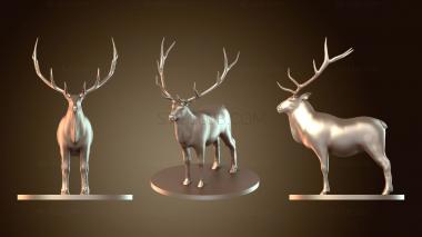 3D model Dragon Elk (STL)