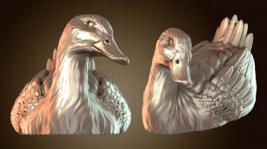 3D model Duck Swimming Graceful (STL)