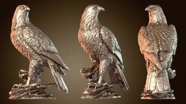 3D модель Орел (STL)