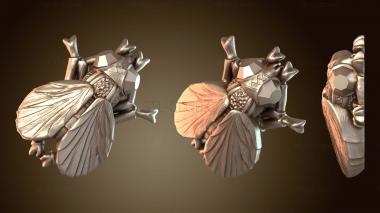 3D model Ebony Fly (STL)