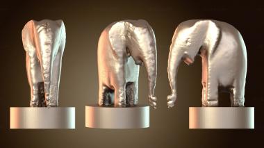 3D модель Слон закончил высоко (STL)