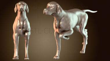 3D model Hunting Pointer Engaged (STL)