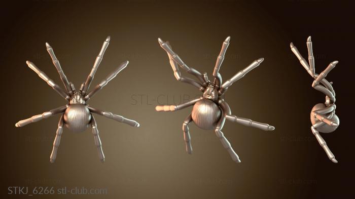 Паук из ядра Фейвуда