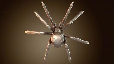 3D мадэль Feywood Core Spider Bold (STL)