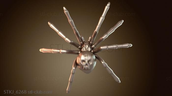 Фейвудское ядро паука Кин