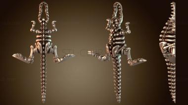 3D модель Гибкий скелет Рекса (STL)