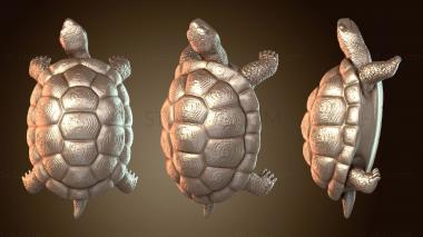 3D мадэль Сбор в гнойном болоте с черепахой (STL)