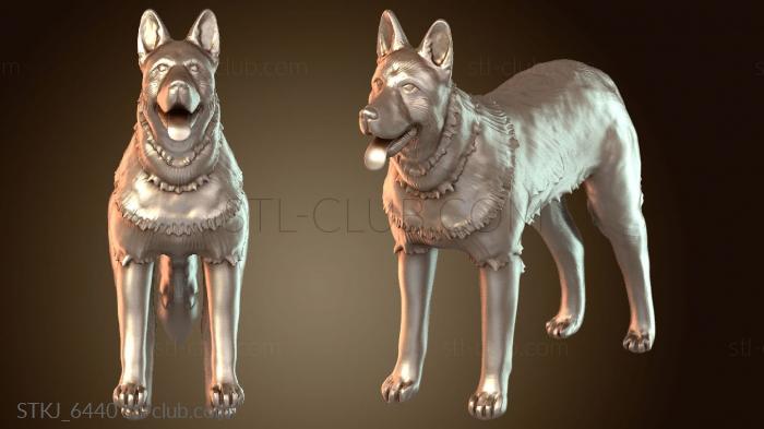 Немецкая овчарка