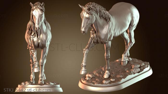 Призрачный конь