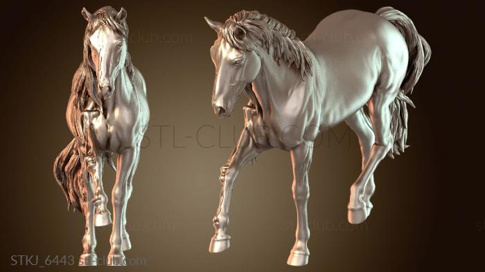 Призрачный конь-фантом