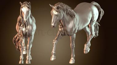 3D модель Призрачный конь-фантом (STL)