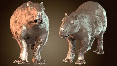 3D мадэль Гигантская капибара тихая (STL)
