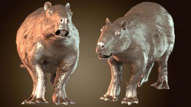 3D модель Гигантская капибара яркая (STL)