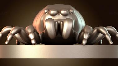 3D model Giant Jumping Spider (STL)