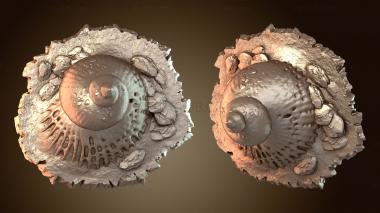 3D model Gifts Gift Giant Fossil Rock (STL)