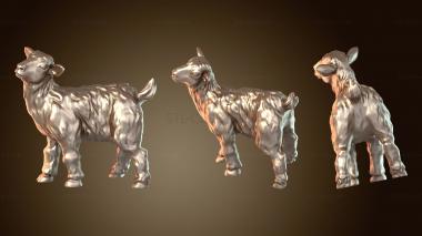 3D model Goat Standing (STL)