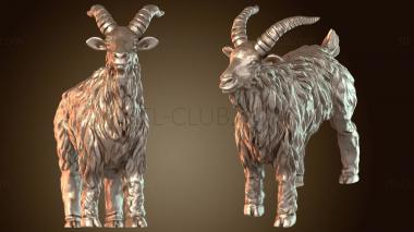 3D модель Коза Величественная (STL)