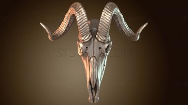 3D модель Череп козла (STL)