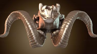 3D модель Украшенный череп козла (STL)