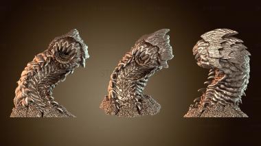 3D модель Gorgers Stoskoular Fierce (STL)