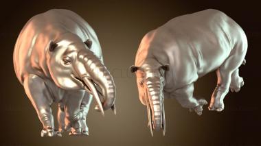 3D model Granastrapotherium Youthful (STL)