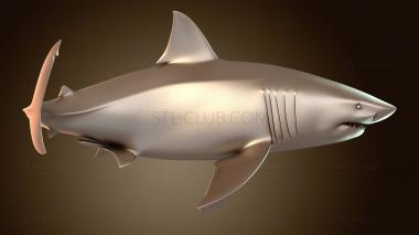 3D модель Great White Проигрыватель (STL)
