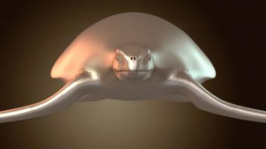 3D модель Зеленая морская черепаха (STL)