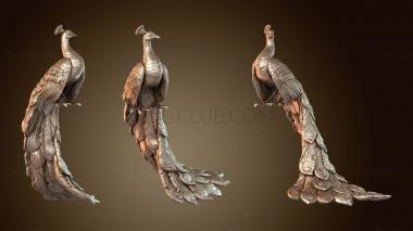 3D модель Гера Павлин королевский (STL)