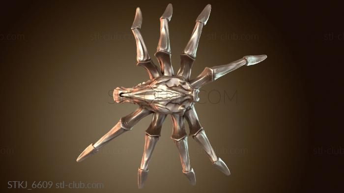 Статуэтки животных Паук-конский череп