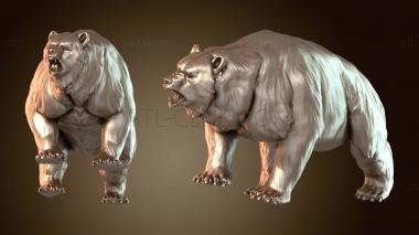 3D мадэль King Bear Wild (STL)