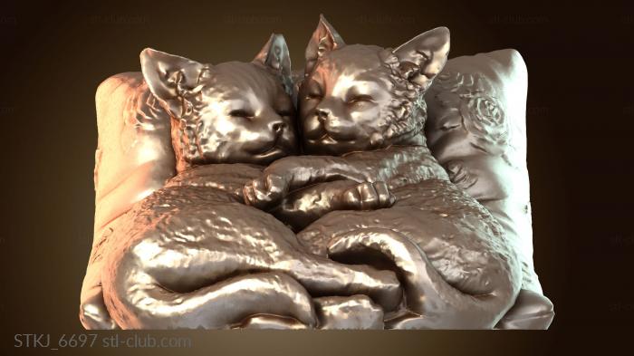 Спящий котенок