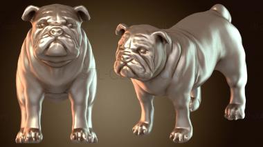 3D мадэль Коби (STL)