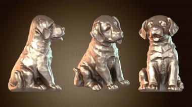 3D модель Щенок лабрадора (STL)