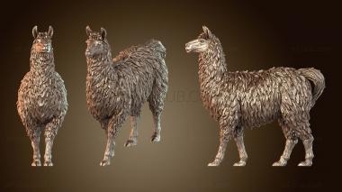 3D модель Лама (STL)