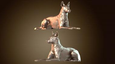 3D model Malinois Dog (STL)