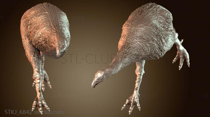 МОА Первичный