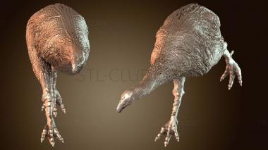 3D мадэль МОА Первичный (STL)