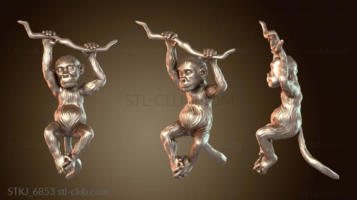 Обезьяньи шалости