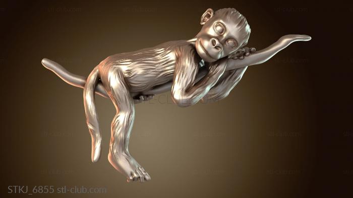 Обезьяна Благородная