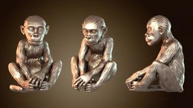 3D model Monkey Zany (STL)