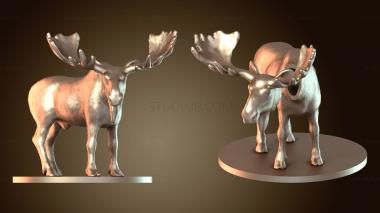 3D model Moose Shapeways (STL)