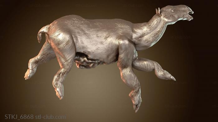 Моропус Сталварт