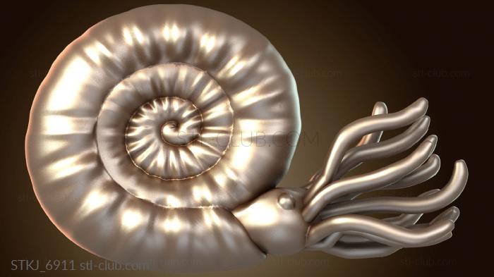 Улитка Наутилус