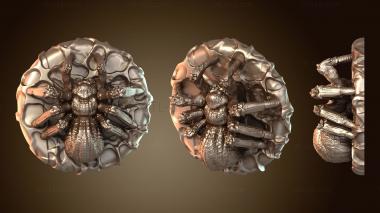 3D model Hunting Beast Spider Casual (STL)