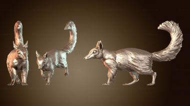 3D model Numbat Walk (STL)