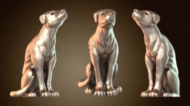 3D model Onyx Dog (STL)